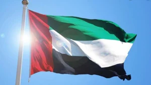 UAE Flag
